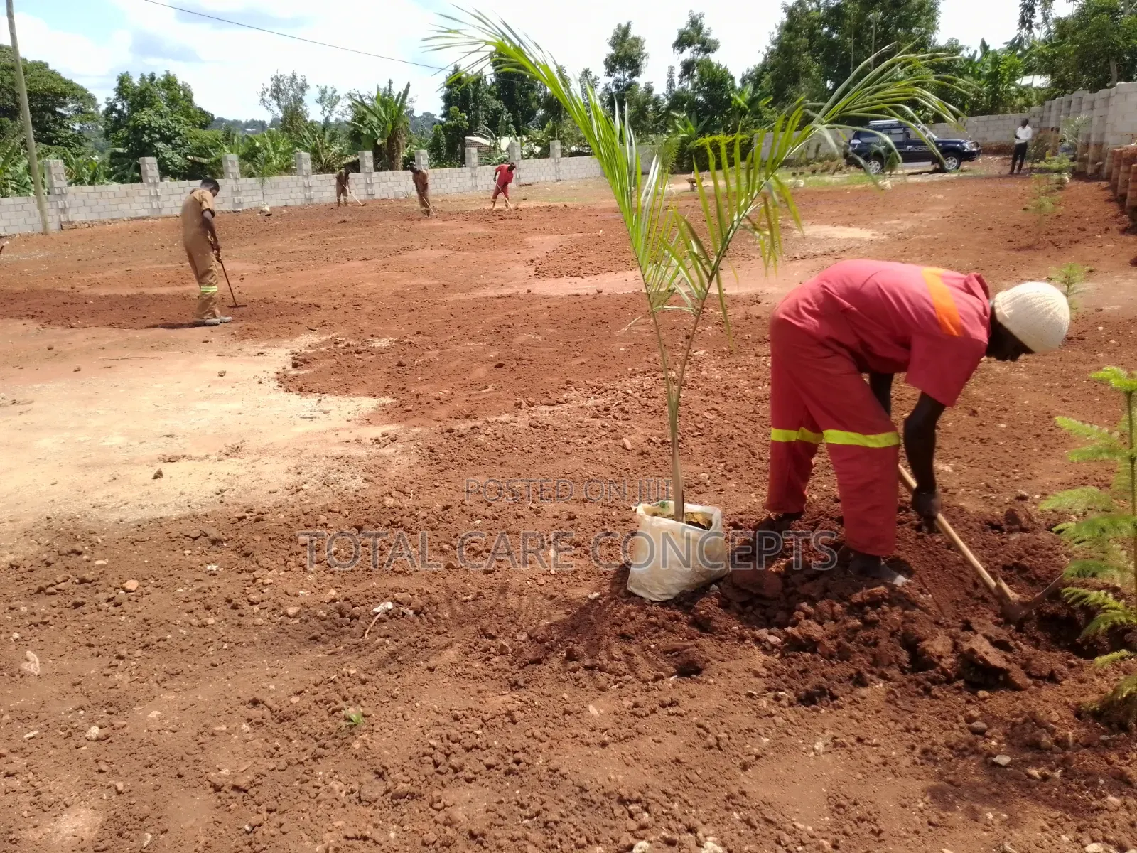 Best Gardening Services You Need