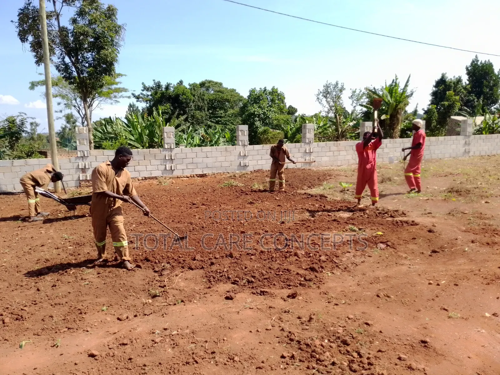 Best Gardening Services You Need