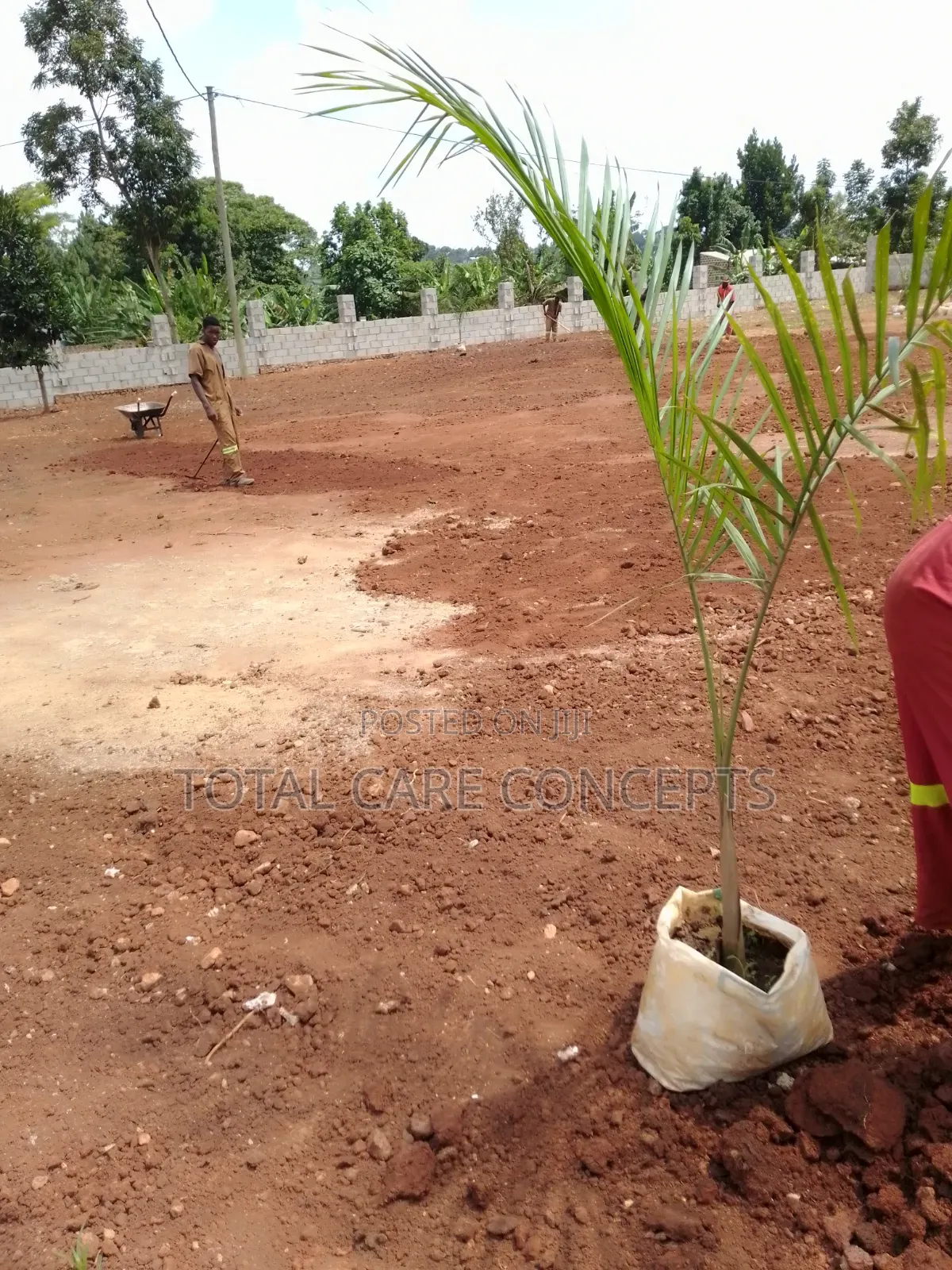 Best Gardening Services You Need