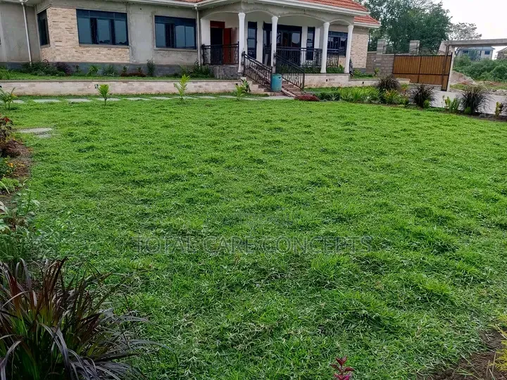 Best Gardening Services You Need