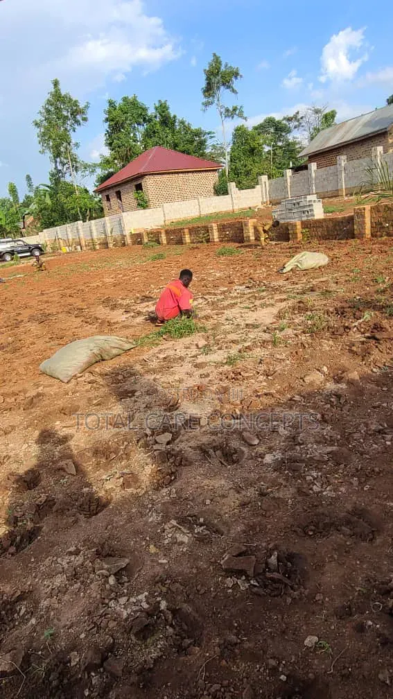 Best Gardening Services You Need