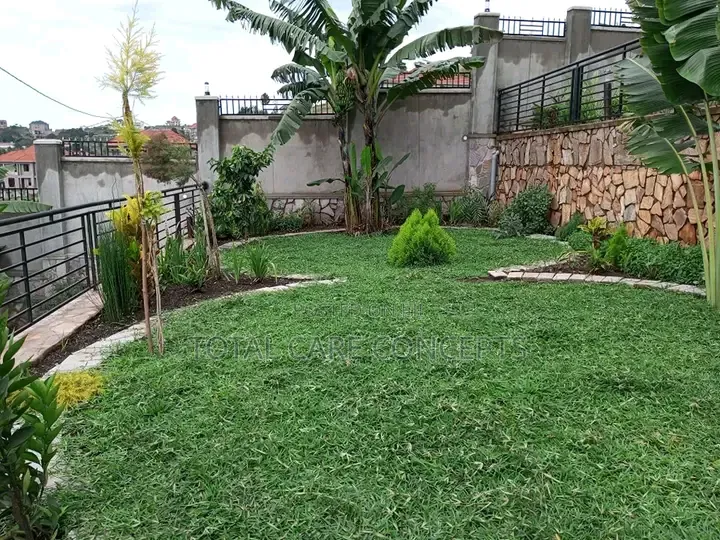 Best Gardening Services You Need