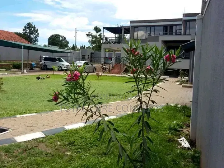 Best Gardening Services You Need