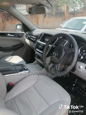 Mercedes-Benz M Class 2014 Gray