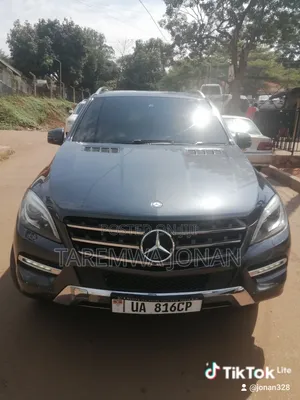 Mercedes-Benz M Class 2014 Gray