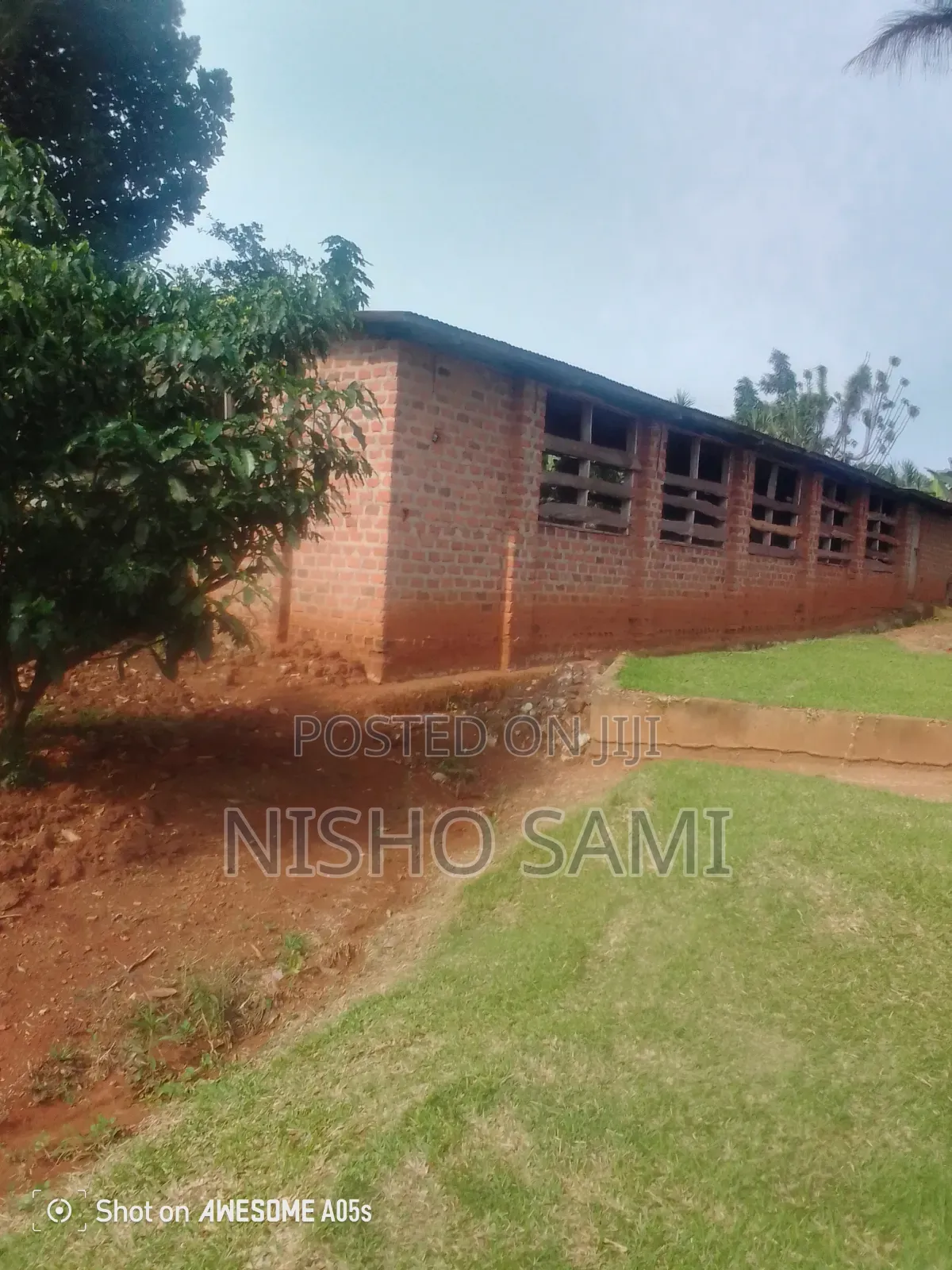 Commercial Poultry House for Rent (12m X 40m) – Ssenge – Wakiso