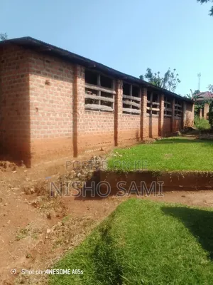 Commercial Poultry House for Rent (12m X 40m) – Ssenge – Wakiso