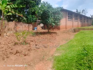 Commercial Poultry House for Rent (12m X 40m) – Ssenge – Wakiso