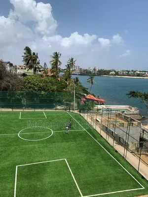 Nortic Artificial Turf