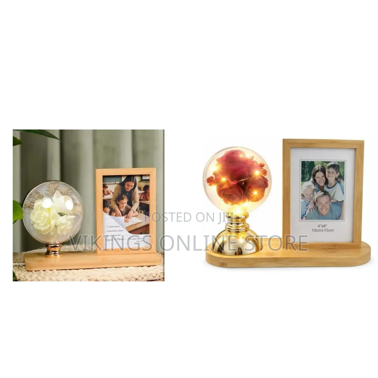 Home Decor Essentials LED Photo Frame With Illuminated Floral Globe