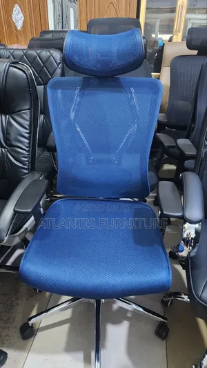Blue Original Office Chair Orthopedic.