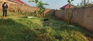 Plot for Sale Bukerere of 80x70ft