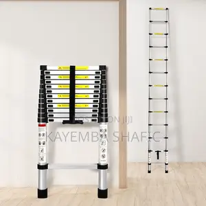 3.8m Aluminum Telescopic Ladder - Portable Heavy Duty