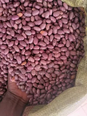 Beans Available in Kampala