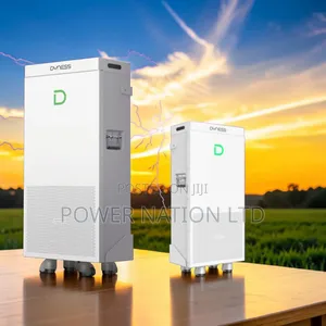 16kwh Dyness Lithium Battery
