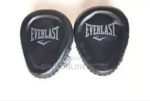 Everlast Punch Mitts or Focus Mitts