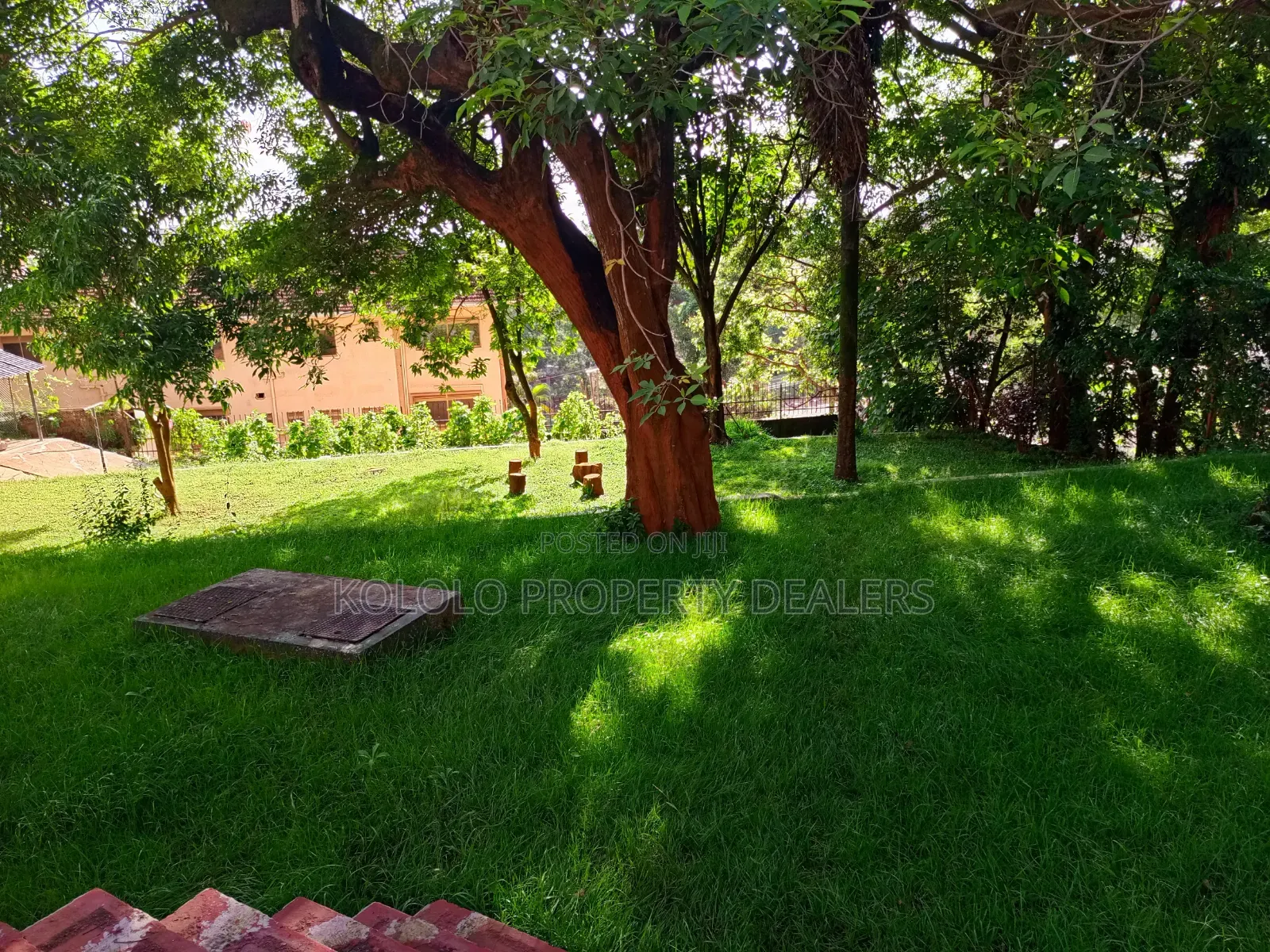 4bdrm Apartment in Kololo, Central Division for rent
