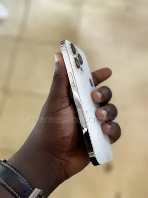 Apple iPhone 14 Pro Max 256 GB Silver