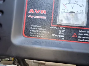 Edon Petrol Generator Key Start and Manual It Has Wells