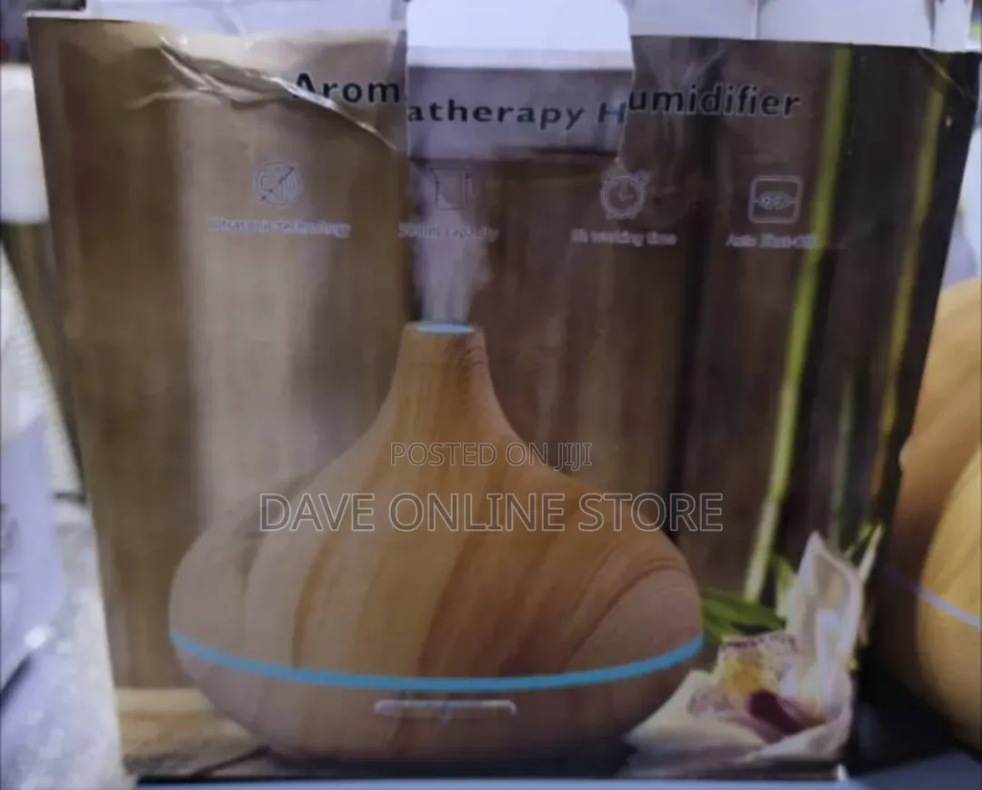 Aroma Therapy Humidifier