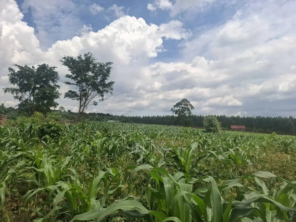 One Acre for Sale in Kiwenda 160M and I Be in Namusera at 110 Million