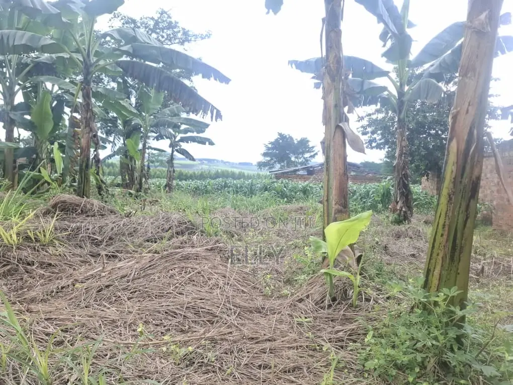 One Acre for Sale in Kiwenda 160M and I Be in Namusera at 110 Million