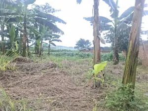 One Acre for Sale in Kiwenda 160M and I Be in Namusera at 110 Million