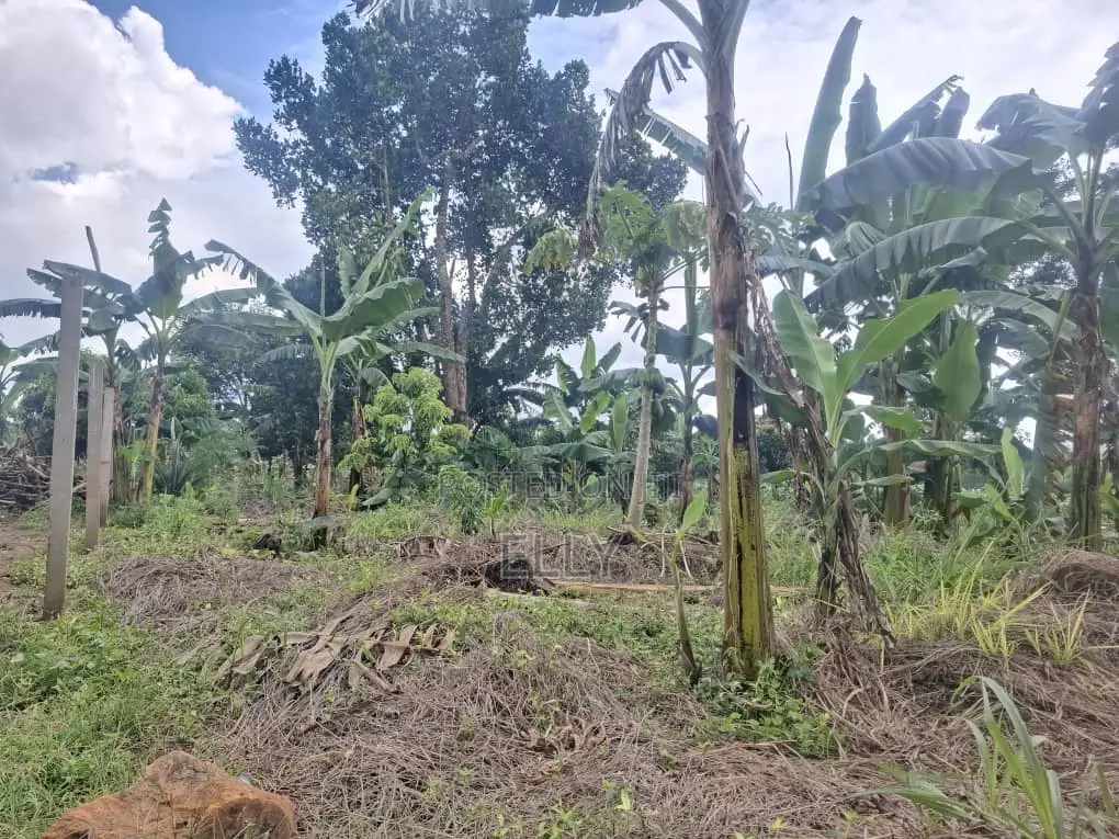One Acre for Sale in Kiwenda 160M and I Be in Namusera at 110 Million