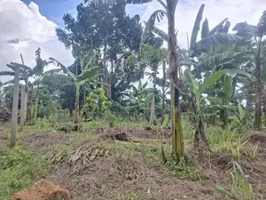 One Acre for Sale in Kiwenda 160M and I Be in Namusera at 110 Million