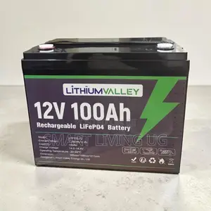 Lithium Valley 100Ah Battery – Reliable Solar Energy Storage