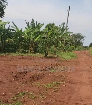 New Estate in Busiika With Title Plots for Sale .