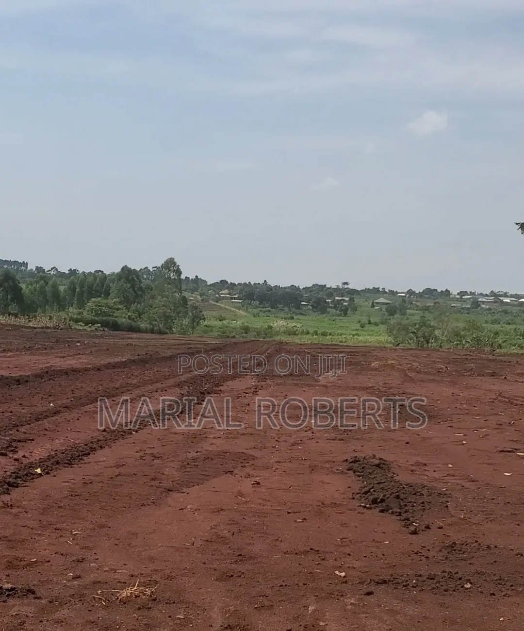 New Estate in Busiika With Title Plots for Sale .