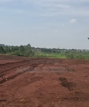 New Estate in Busiika With Title Plots for Sale .