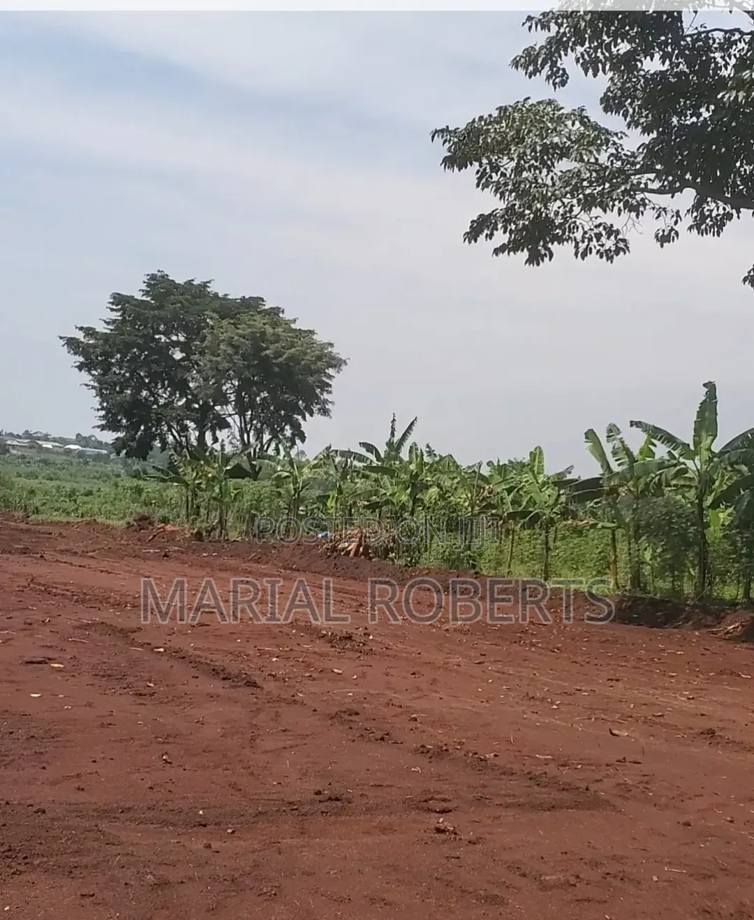 New Estate in Busiika With Title Plots for Sale .