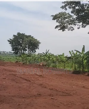 New Estate in Busiika With Title Plots for Sale .