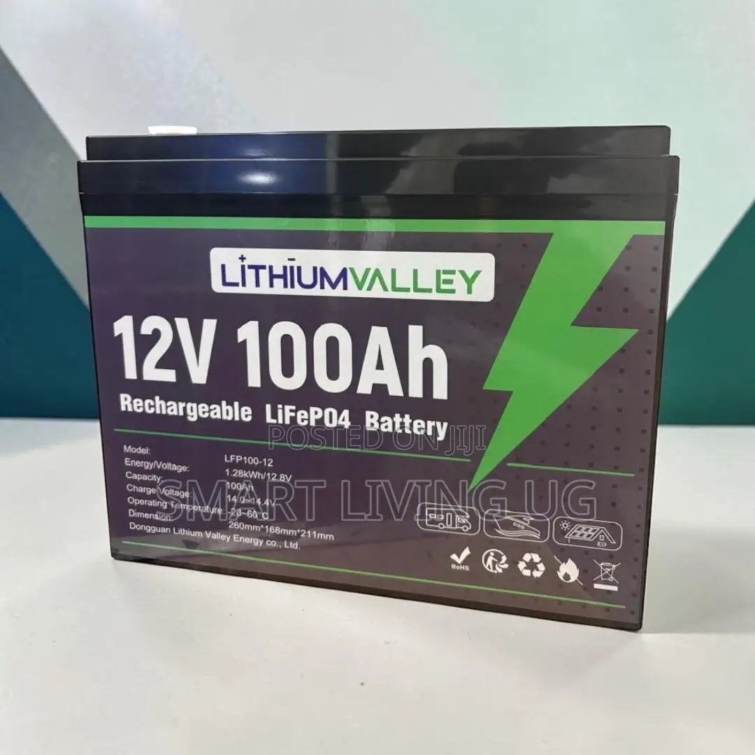 Lithium Valley 100Ah – Long-Lasting Solar Backup Battery
