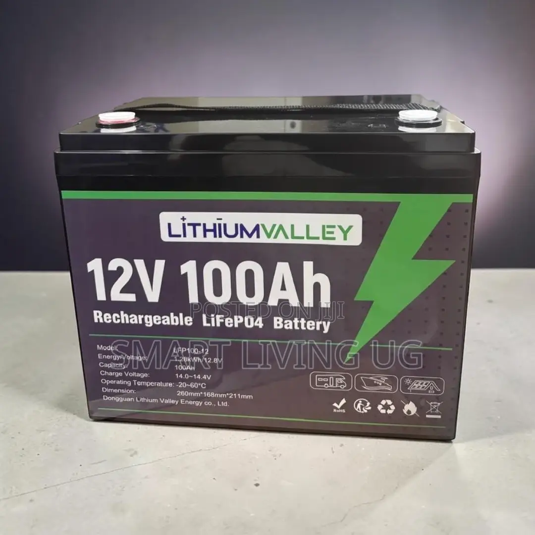 Lithium Valley 100Ah – Long-Lasting Solar Backup Battery