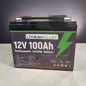 Lithium Valley 100Ah – Long-Lasting Solar Backup Battery
