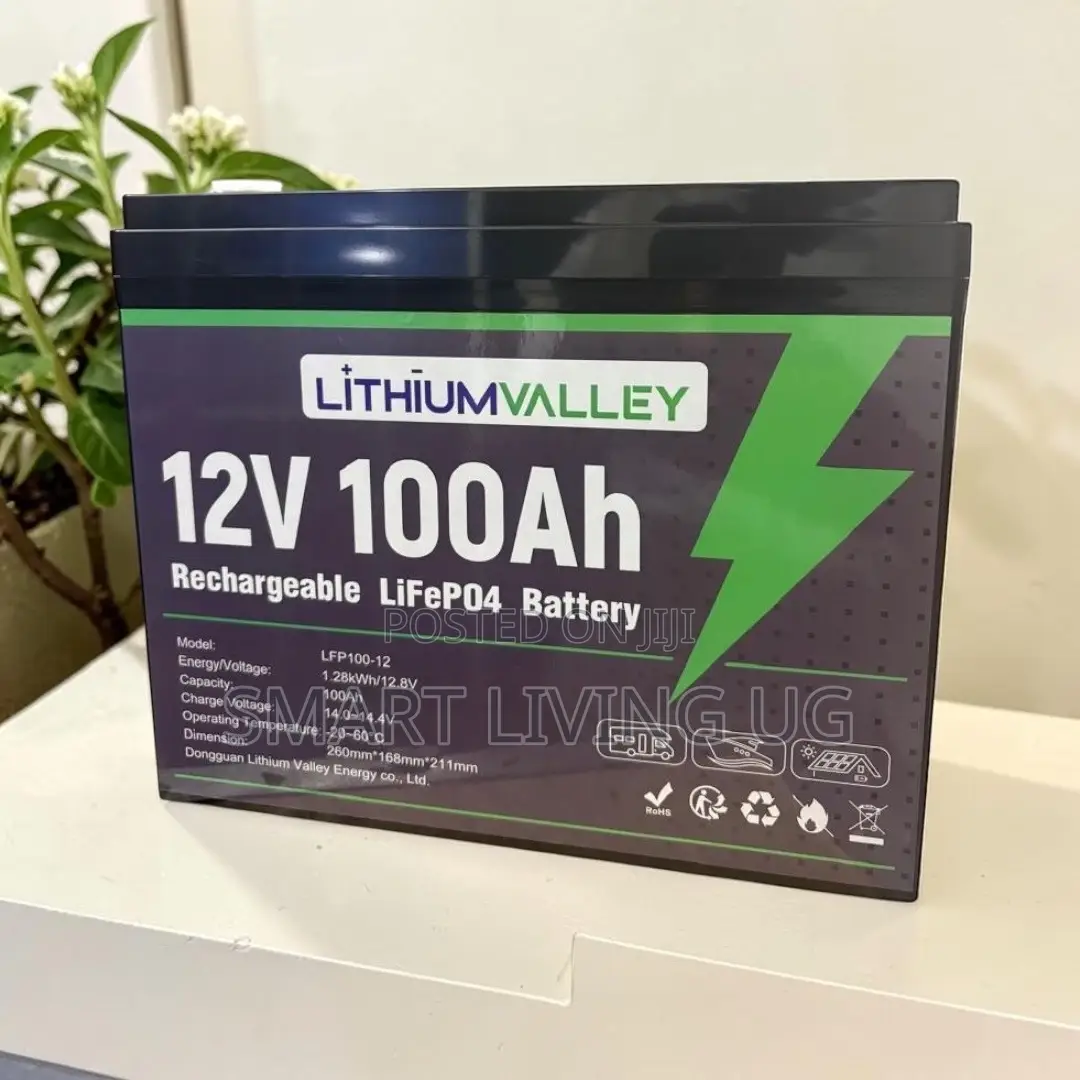 Go Lithium With Lithium Valley 100Ah – Solar Backup Solution