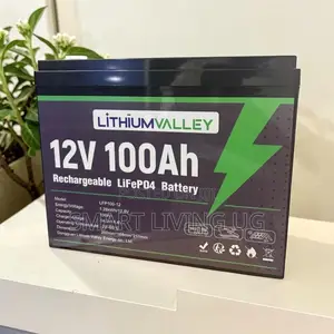 Go Lithium With Lithium Valley 100Ah – Solar Backup Solution