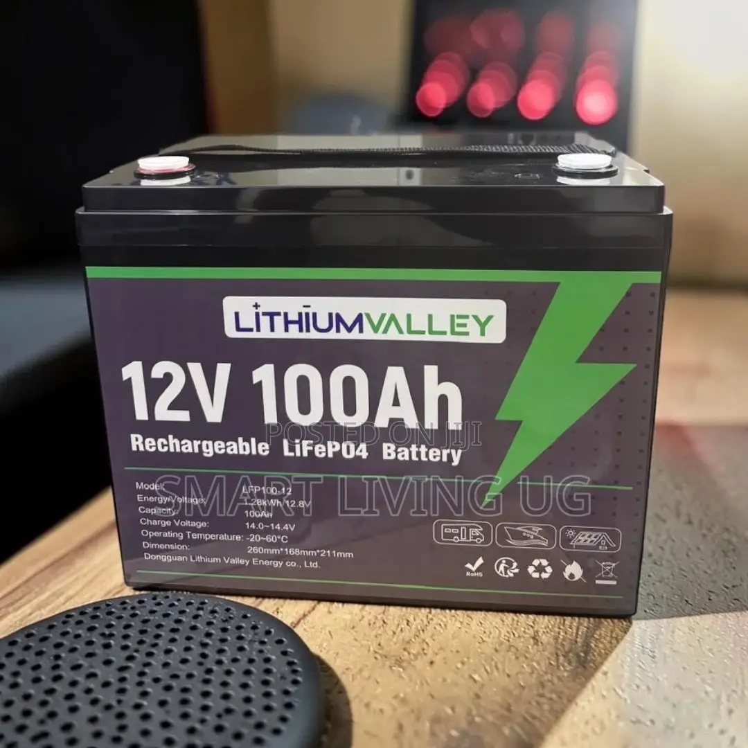 Go Lithium With Lithium Valley 100Ah – Solar Backup Solution