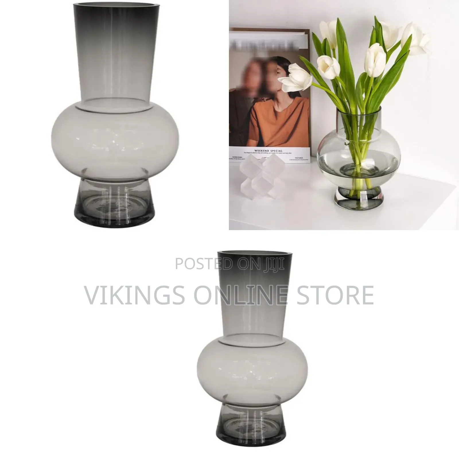 Smoke Belly Compact Tabletop Vase Hydroponics Flower Pot Living Room