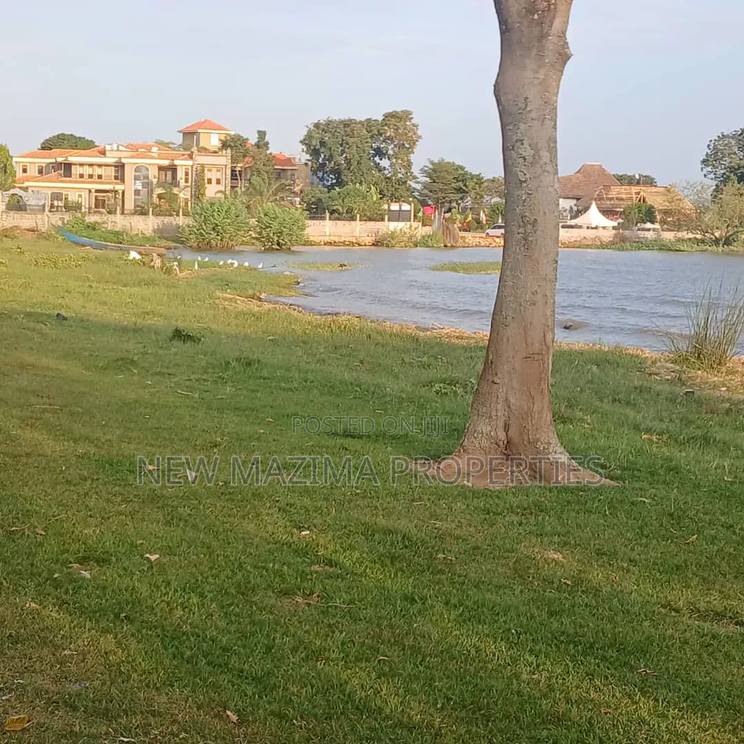 Verynew Estate With Plots Measuring Direct From the Lake Onforcedsale