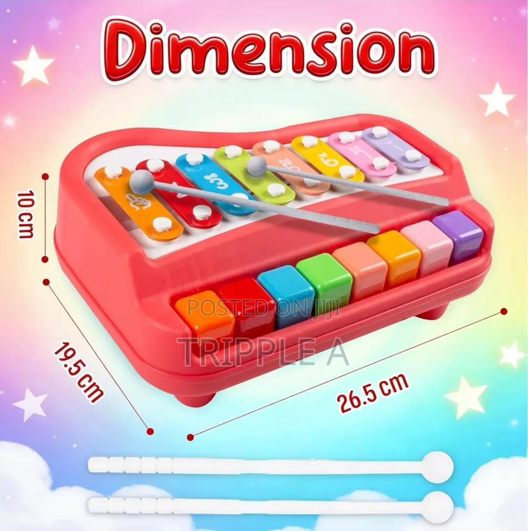 2 in 1 Musical Xylophone and Mini Piano for Kids