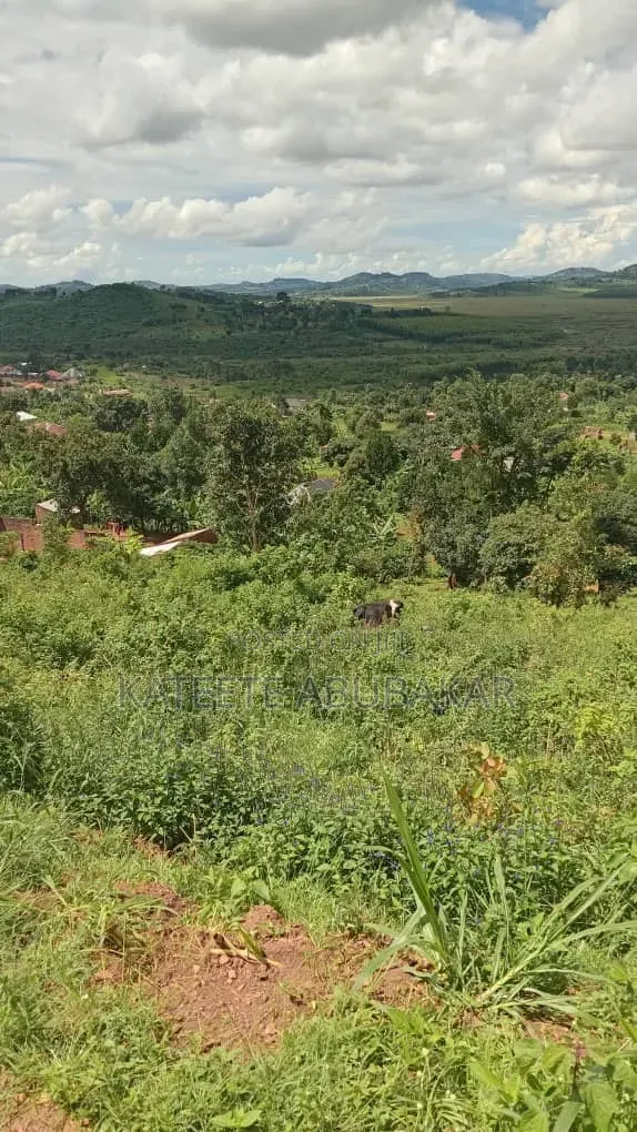 Half Acre of Land in Mpambile