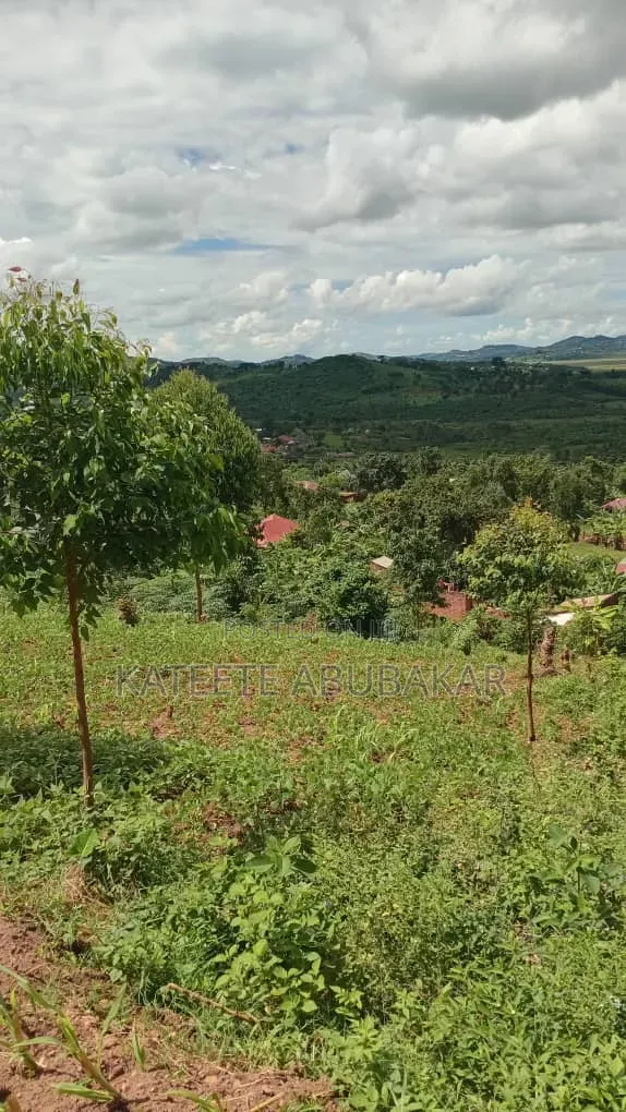 Half Acre of Land in Mpambile