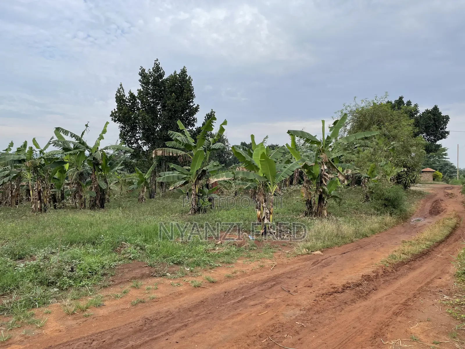 One Acre of Land