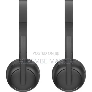 Green Lion Talk Pro Wireless Headphone With Mic, Dual Noise-Cancelling