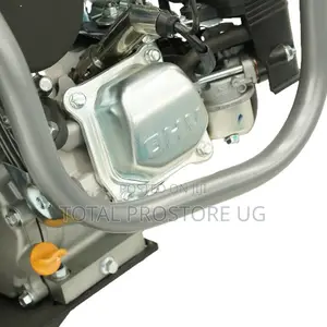 Gasoline Tamping Rammer 5.5hp 79kg.