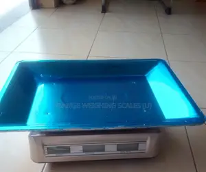 Digital Weigh 60Kg Kitchen Weighing Scale Table Digital Weighing Scale